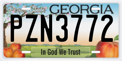 GA license plate PZN3772