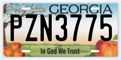 GA license plate PZN3775