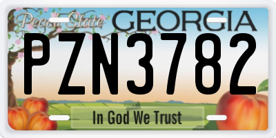 GA license plate PZN3782