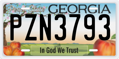 GA license plate PZN3793