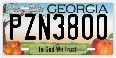 GA license plate PZN3800