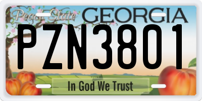 GA license plate PZN3801