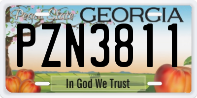 GA license plate PZN3811