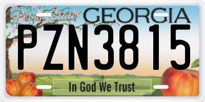 GA license plate PZN3815