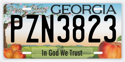 GA license plate PZN3823