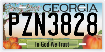 GA license plate PZN3828
