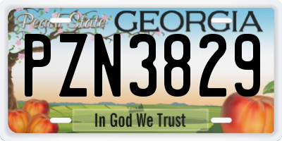 GA license plate PZN3829