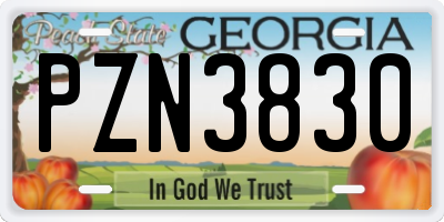 GA license plate PZN3830