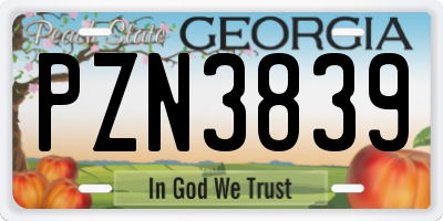 GA license plate PZN3839