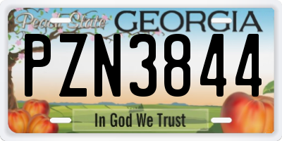 GA license plate PZN3844