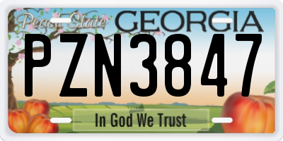 GA license plate PZN3847