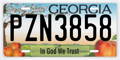 GA license plate PZN3858