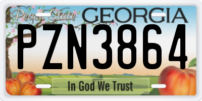 GA license plate PZN3864