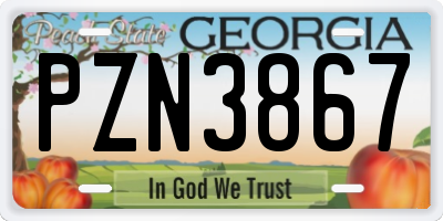 GA license plate PZN3867