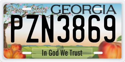 GA license plate PZN3869