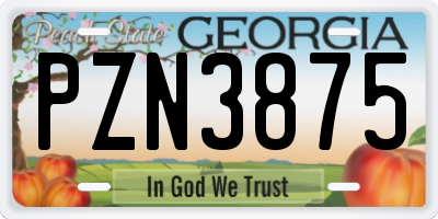 GA license plate PZN3875