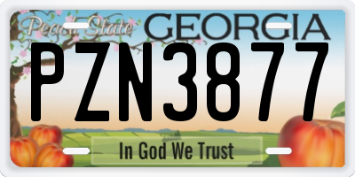 GA license plate PZN3877