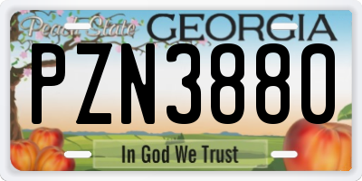 GA license plate PZN3880