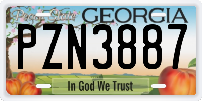 GA license plate PZN3887