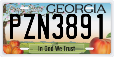 GA license plate PZN3891