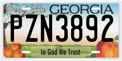 GA license plate PZN3892