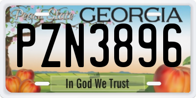 GA license plate PZN3896