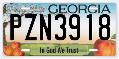 GA license plate PZN3918