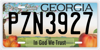GA license plate PZN3927