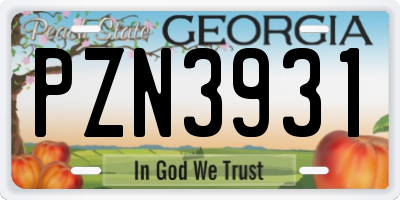 GA license plate PZN3931