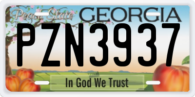 GA license plate PZN3937
