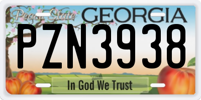GA license plate PZN3938