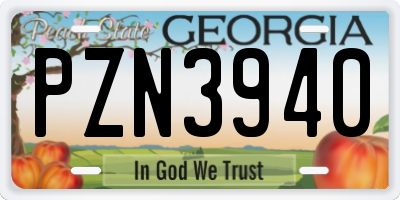 GA license plate PZN3940