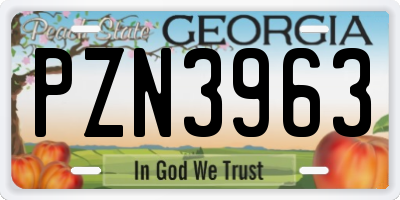 GA license plate PZN3963