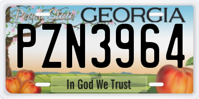 GA license plate PZN3964