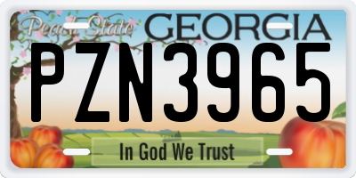 GA license plate PZN3965