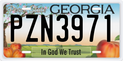 GA license plate PZN3971