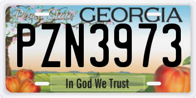 GA license plate PZN3973