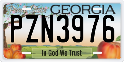 GA license plate PZN3976