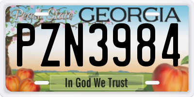 GA license plate PZN3984