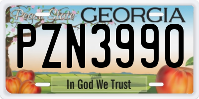 GA license plate PZN3990