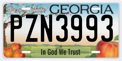 GA license plate PZN3993