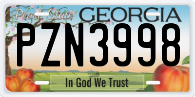 GA license plate PZN3998