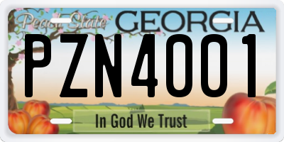 GA license plate PZN4001