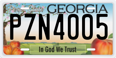 GA license plate PZN4005