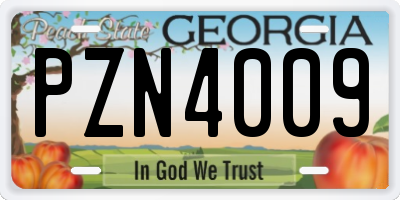 GA license plate PZN4009