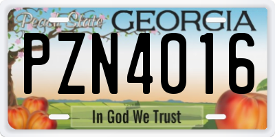 GA license plate PZN4016