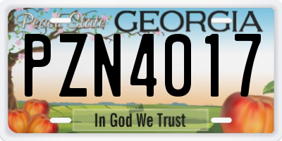GA license plate PZN4017