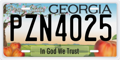GA license plate PZN4025