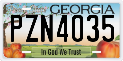 GA license plate PZN4035