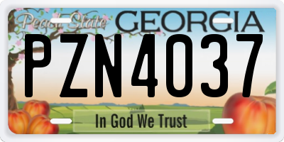 GA license plate PZN4037